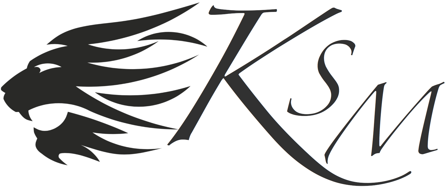 KSM Agency Providing Leads For Businesses Logo